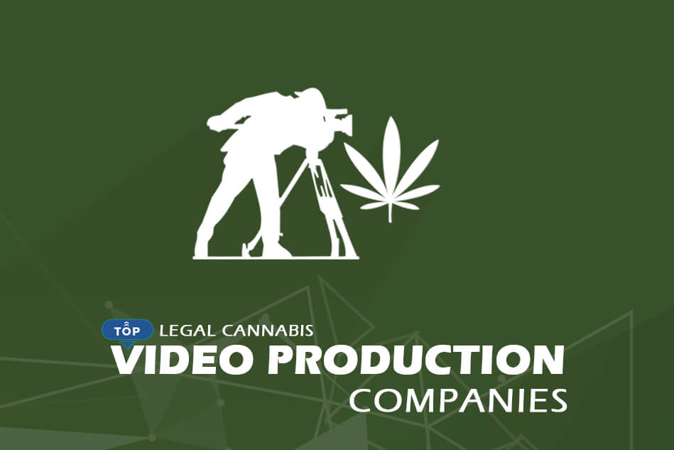 Top Legal Cannabis Video Production Companies 2024